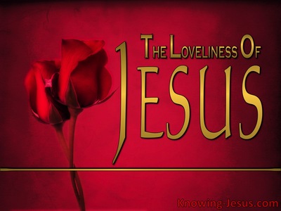 The Loveliness Of Jesus
